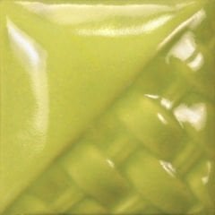 SW507 Bright Green Gloss Stoneware Sır