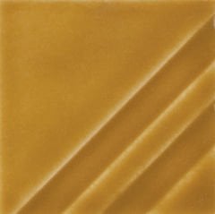 FN205 Saddle Tan 473 ML