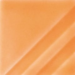 FN207 Orange Slice 473 ML