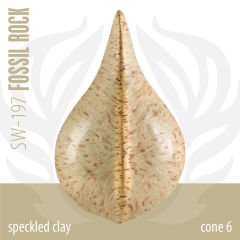 SW197 Fossil Rock Stoneware Sır