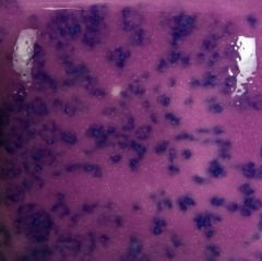 SP213 Speckled Grapel (236 ML)