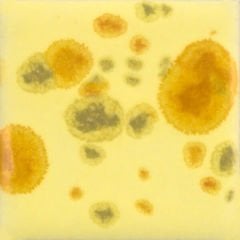 CG1012 Haystack Seramik Sır