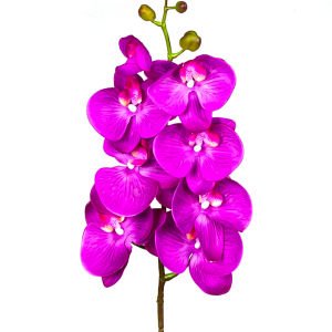 Yapay Orkide Gerçek Dokunuş Mor 104 Cm.