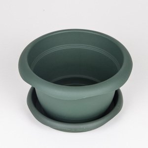 Veramaya Tabaklı Menekşe Saksı Yeşil 16x9 Cm No:2