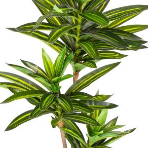 Yapay Dracena Gerçek Dokulu 72 Cm.