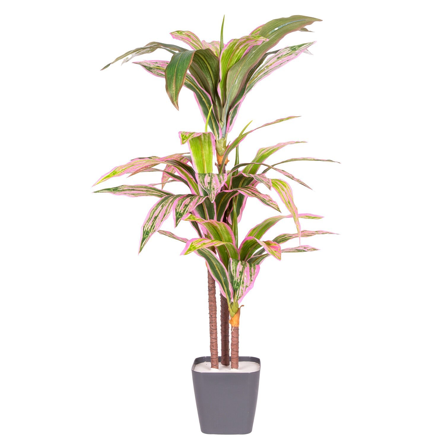 Yapay Dracena Gerçek Dokulu 90 Cm.