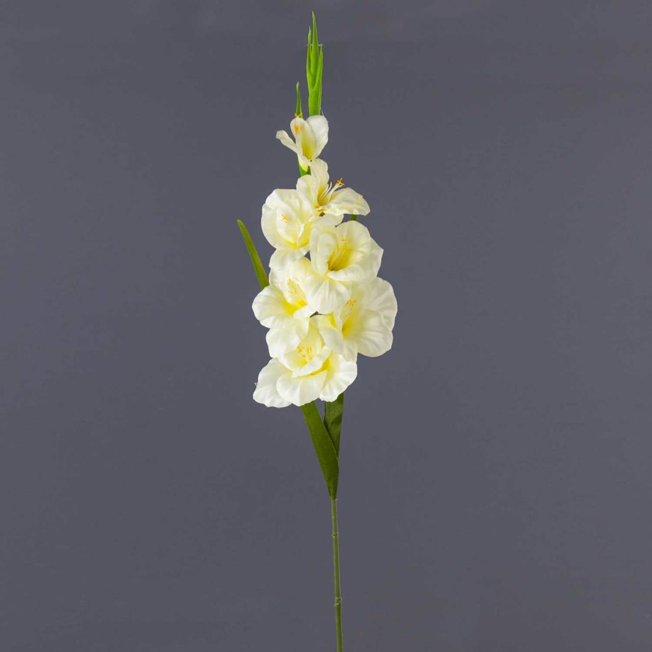 Dekoratif Çiçek Glayöl 88 Cm