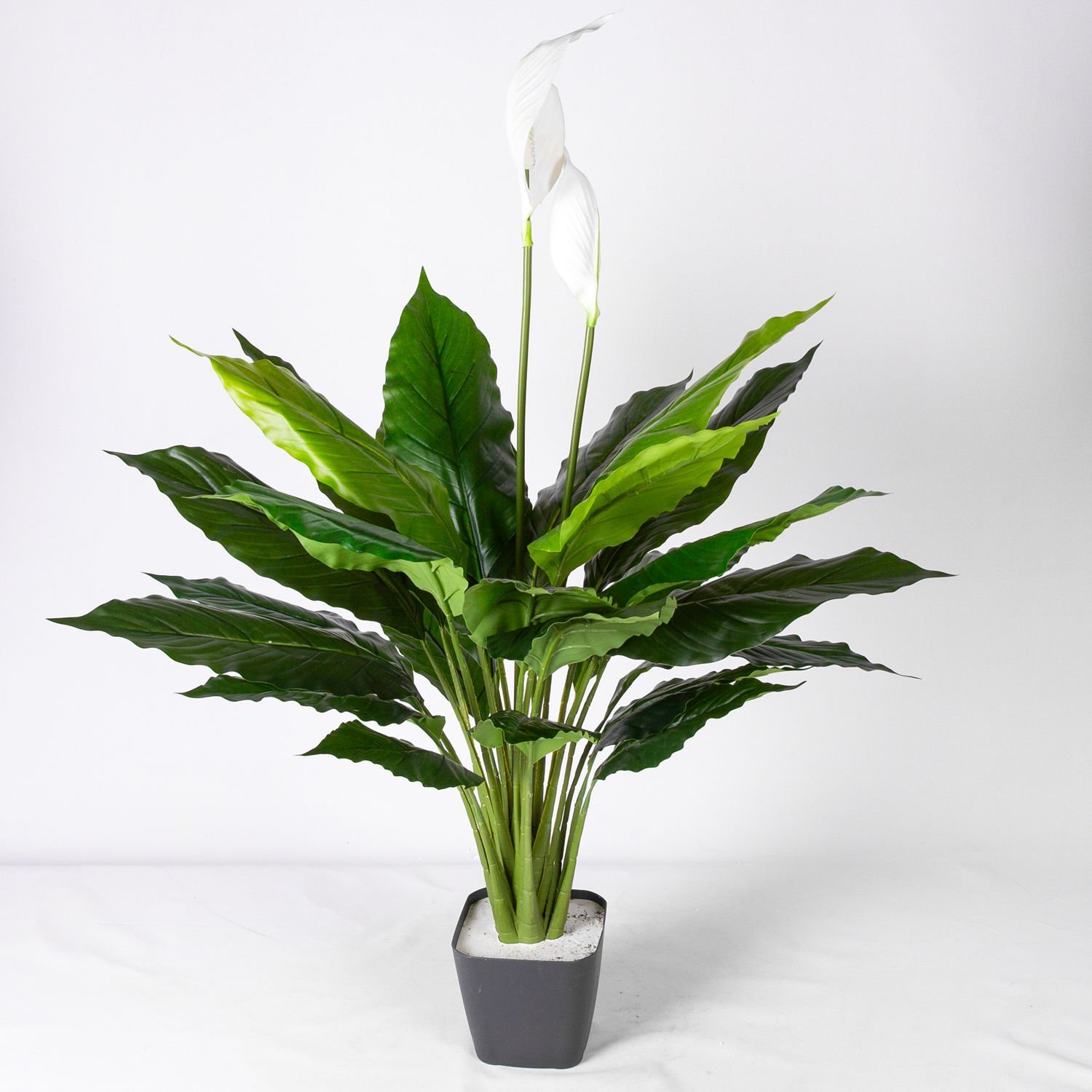 Yapay Bitki Spathiphyllum-Yelken Çiçeği Gerçek Dokulu Yeşil-Beyaz 70 Cm.