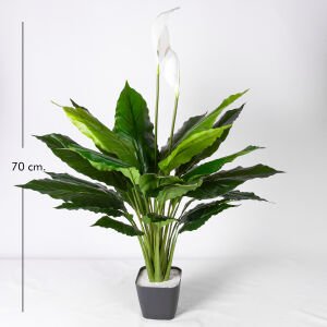 Yapay Bitki Spathiphyllum-Yelken Çiçeği Gerçek Dokulu Yeşil-Beyaz 70 Cm.