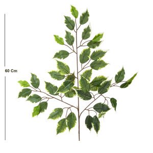 Yapay Ficus Dalı Yeşil-Beyaz 60 Cm.