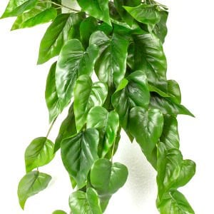 Yapay Bitki Asılabilir Sarmaşık Anthurium-Antoryum Gerçek Dokulu Yeşil 70 Cm.