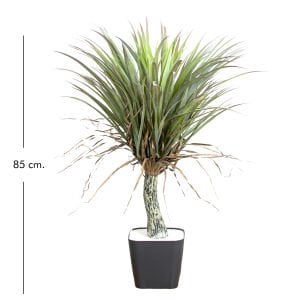 Yapay Avize Çiçeği Bitkisi (Yucca Ağacı ) Yeşil 85 Cm.