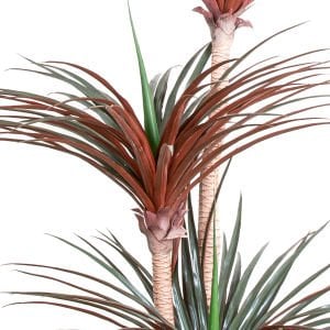 Yapay Avize Çiçeği Bitkisi (Yucca Ağacı) 200 Yapraklı Yeşil-Bordo 170 Cm.