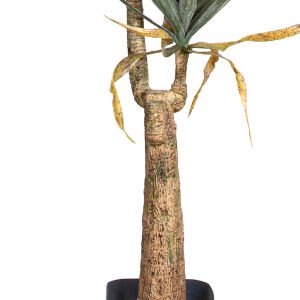 Yapay Avize Çiçeği Bitkisi (Yucca Ağacı) 2 Dallı Yeşil 145 Cm.