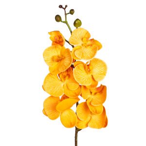 Yapay Orkide Gerçek Dokunuş Hardal 104 Cm.