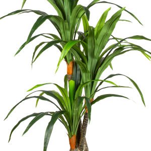 Yapay Dracaena Gerçek Dokulu 3 Dallı 160 Cm.