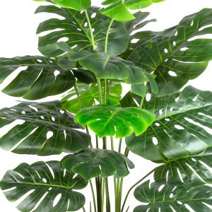 Yapay Monstera - Deve Tabanı Ağacı Gerçek Dokulu 15 Yaprak 145 Cm.