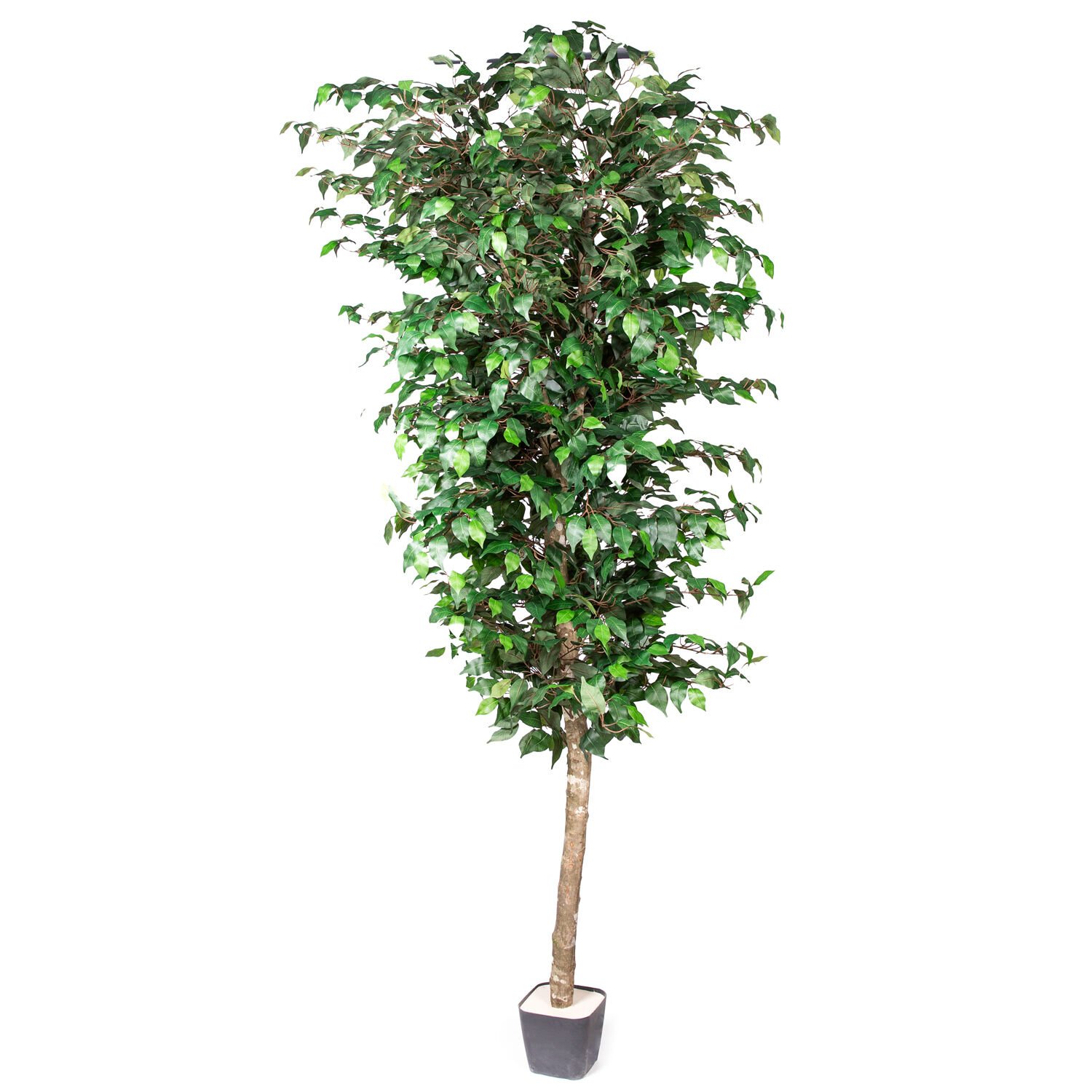 Yapay Ficus Ağacı Tek Gövde Yeşil 225 Cm.