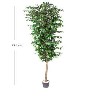 Yapay Ficus Ağacı Tek Gövde Yeşil 225 Cm.