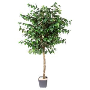 Yapay Ficus Ağacı Tek Gövde Yeşil 140 Cm.