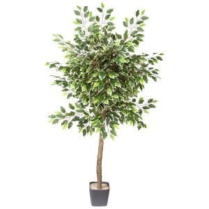 Yapay Ficus Ağacı Tek Gövde Yeşil-Beyaz 140 Cm.