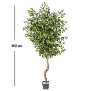 Yapay Ficus Ağacı Tek Gövde Yeşil-Beyaz 200 Cm.