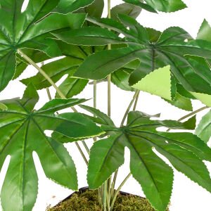 Saksı da Yapay Bitki Fatsia-Japon Çınarı Gerçek Dokulu 9 Yaprak Yeşil 48 Cm.
