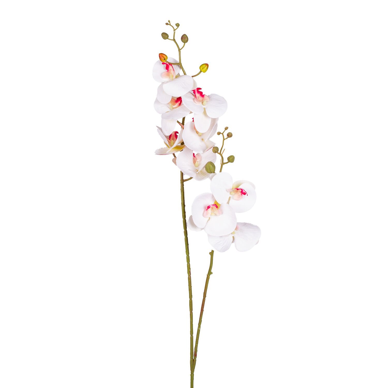 Yapay Orkide Çift Dallı Beyaz /Pembe 92 Cm.