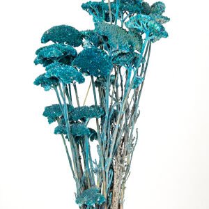 Kuru Bitki Şemsiye Mavi 50 Cm.