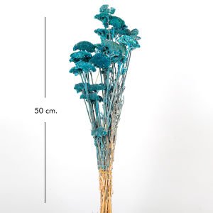 Kuru Bitki Şemsiye Mavi 50 Cm.