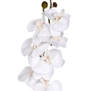 Yapay Orkide Beyaz 88 Cm.
