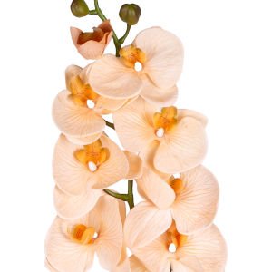 Yapay Orkide Gerçek Dokunuş Somon 104 Cm.