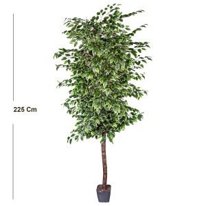 Yapay Ficus Ağacı Tek Gövde Yeşil-Beyaz 225 Cm.