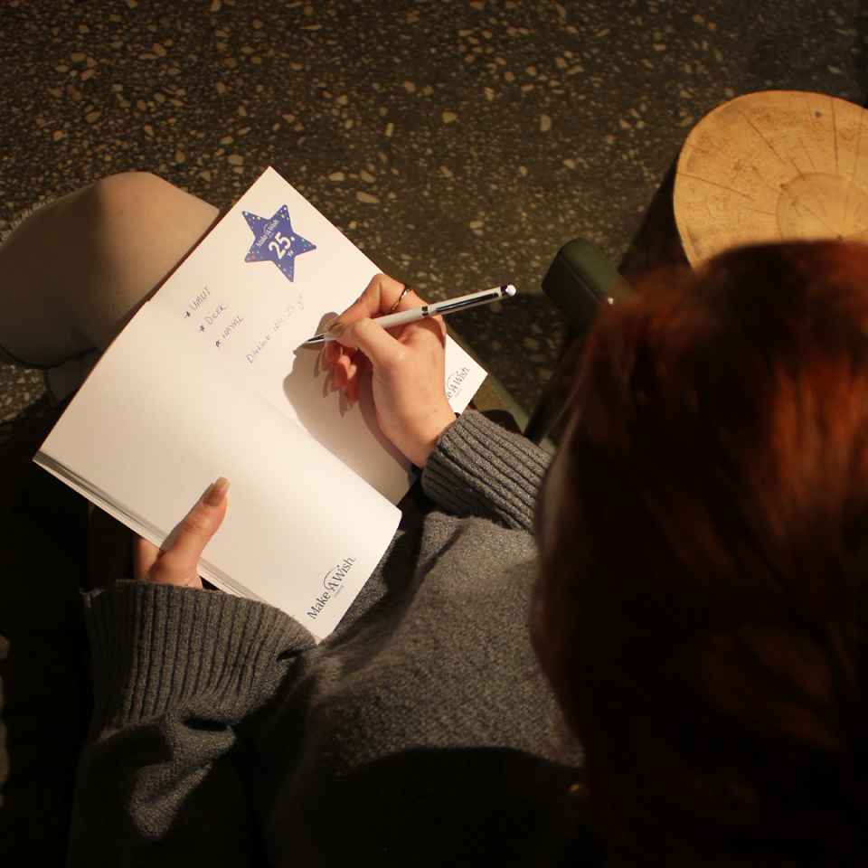 Tarihsiz Ajanda/Defter (Hayal Ajandası)