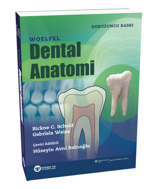 Ema　Woelfel　Anatomi　Dental　Kitabevi　Güneş　Tıp　Kitabevi　Tıp