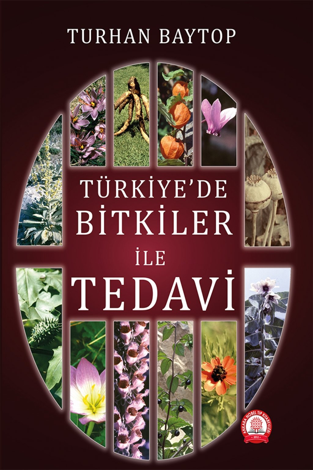 Türkiye'de Bitkiler İle Tedavi