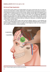 Medikal Estetik Pratik Yaklaşımlar