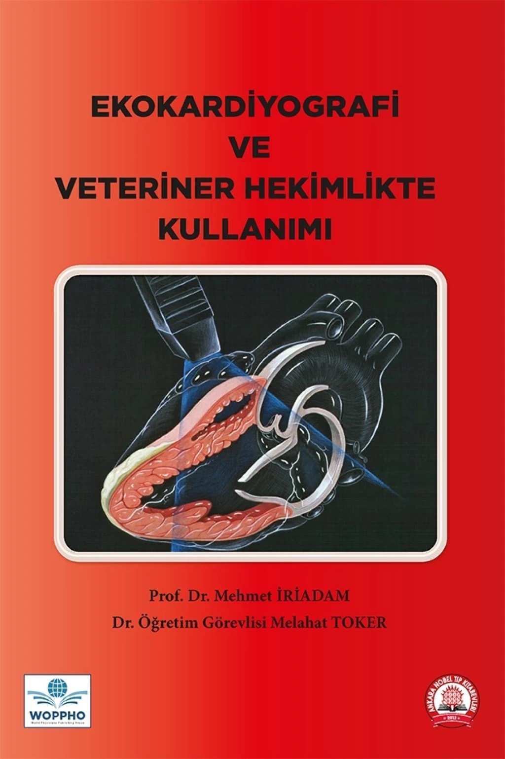 Ekokardiyografi ve Veteriner Hekimlikte Kullanımı