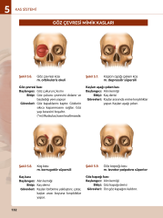İnsan Anatomisine Giriş Görsellerle Zenginleştirilmiş SHMYO ve SYO için 3.Baskı