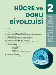 İnsan Anatomisine Giriş Görsellerle Zenginleştirilmiş SHMYO ve SYO için 3.Baskı