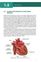 Hastane Öncesi Acil Bakımda EKG ve İleri Yaşam Desteği Uygulamaları