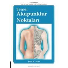 Temel Akupunktur Noktaları