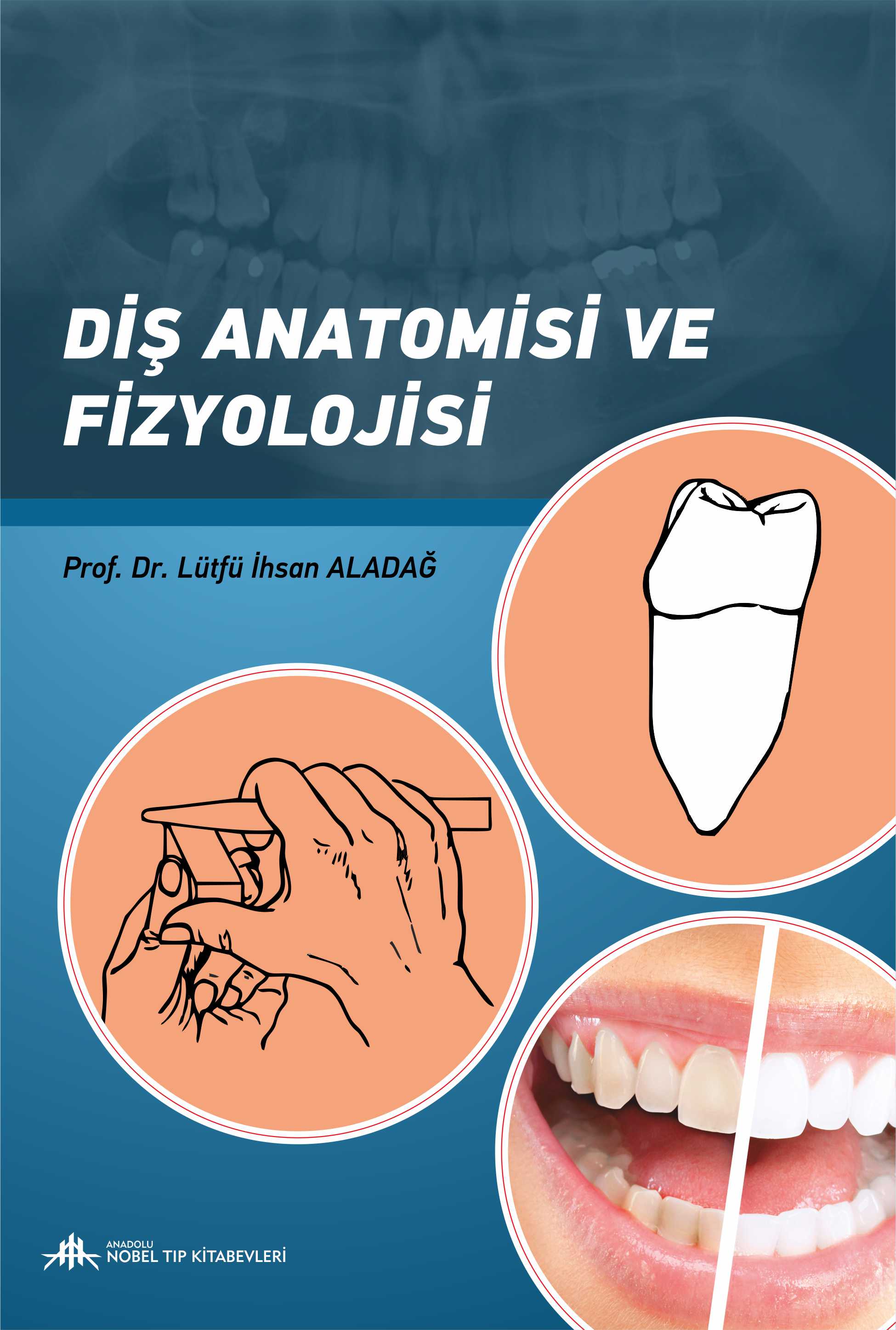 Diş Anatomisi ve Fizyolojisi