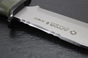 AITOR Bowie Nato