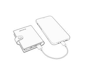 Ledlenser Lite Wallet Plus Chestnut