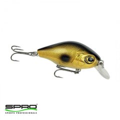 SPRO PC-P Dopey Crank 45 Gold Shiner Maket Yem