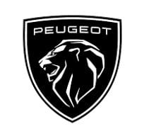 Peugeot Sandık Motor