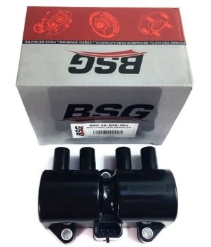 Chevrolet Aveo 1.2-1.4 16 Valf Ateşleme Bobini BSG