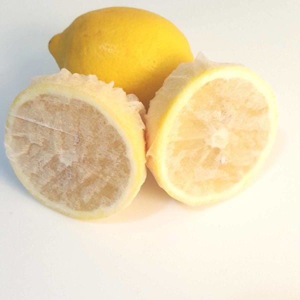 GökkuşağıTicaret Limon Bonesi / 250 Adet / Bitki Çayı Bonesi