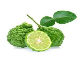 Bergamot Fidanı Dikim Aralığı Kaç Metre Olmalıdır?